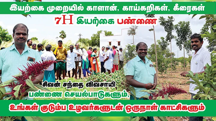இயற்கை முறையில் காளான் முதல் பழங கள் வரை | 7H Organic farming | Farm Visit | Pasumai Talks #organic 