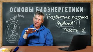 10. Развитие разума Чувств. Часть -1. Основы биоэнергетики.