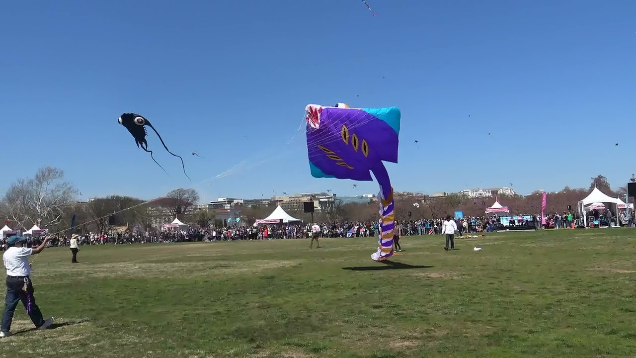 3.31.18 National Cherry Blossom Kite Festival Washington, DC YouTube
