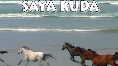 Lab Exercise 1 CSC567