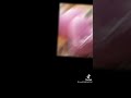 أمي يا جنة العمر