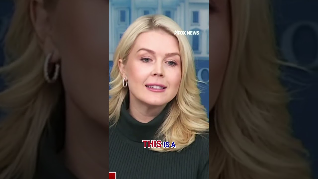 ‘SUBDUE THE CHAOS’: Homan has Trump's ‘full trust and faith’ on this, Leavitt says #shorts #border