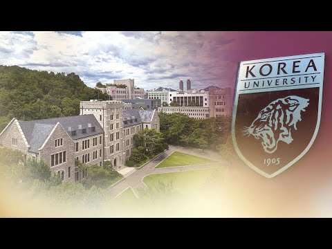 고려대, 기증받은 17세기 고미술품 분실…소재 파악 안 돼 / 연합뉴스TV (YonhapnewsTV)