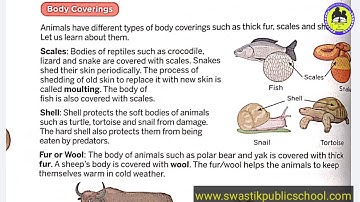 Class 5th Ch-2 by Anuj Yadav Sir