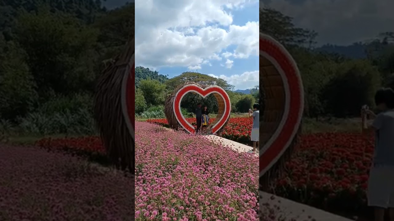 ไร่กลิ่นเกษร 3-1-69 นครนายก