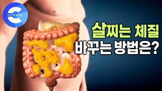 어떻게 해야 뱃살이 잘 빠질까? | 살찌는 체질을 만드는 음식들 | 이 음식 먹으면 살이 쑥쑥~🥕 | 당뇨 | 복부비만 | 귀하신몸