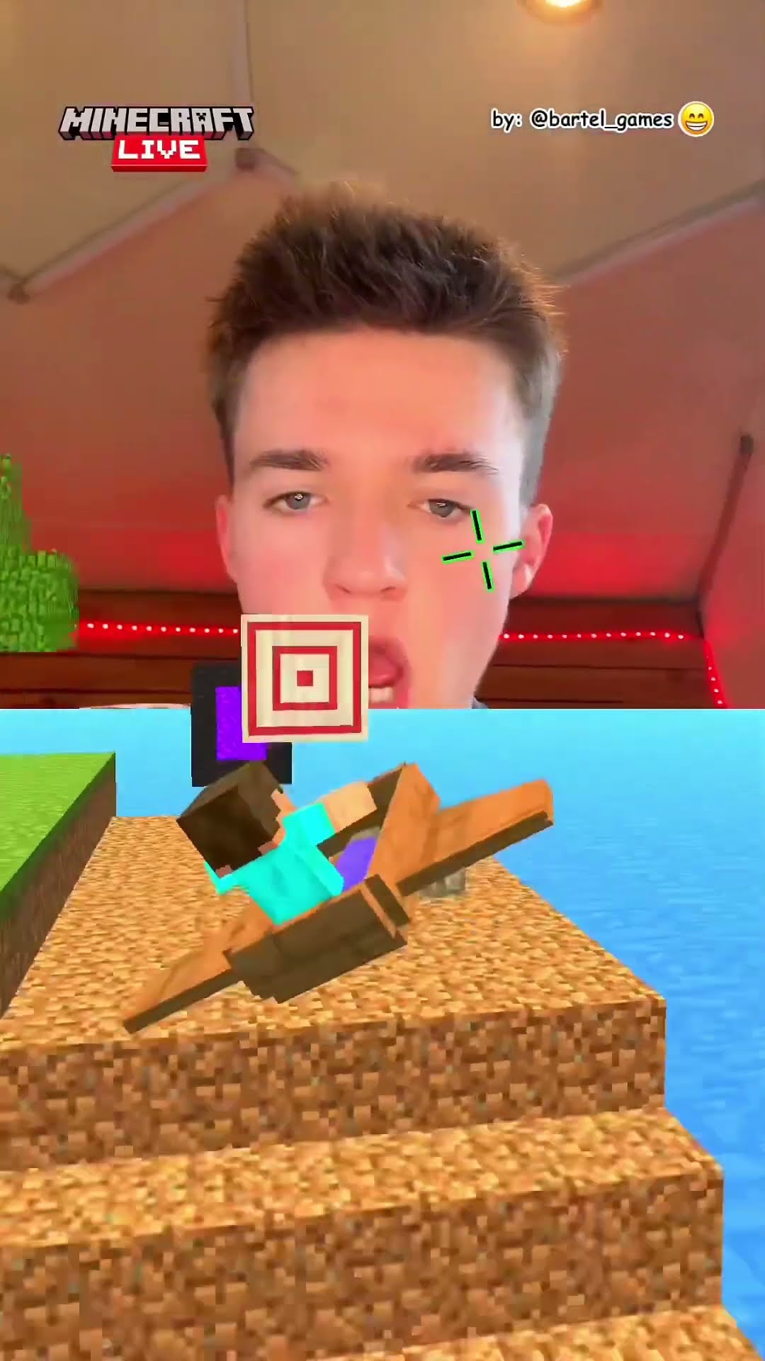 They Got Planes in Minecraft ?.