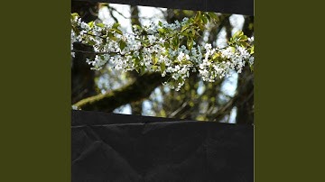 Mind-blowing Backdrops for Daily Work