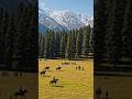 The Heaven on Earth You Need to See to Believe | Kashmir 4K 🌲✨#nature #bollywoodsongs #mountains