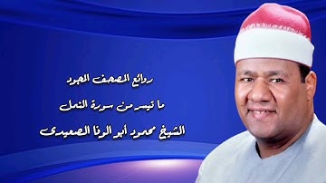 سورة النمل (١٥-٤٤) - الشيخ محمود أبوالوفا الصعيدى رحمه الله
