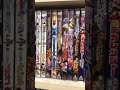 【実験動画】初ショートなのでDVDコレクションを載せてみる