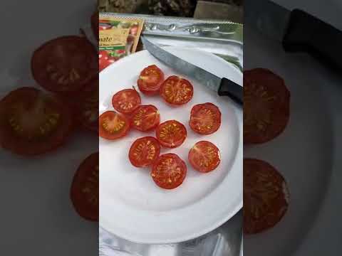 Улаан лоолио хүлэмжинд