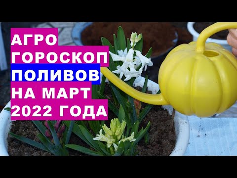 Агрогороскоп поливов растений в марте 2022 года