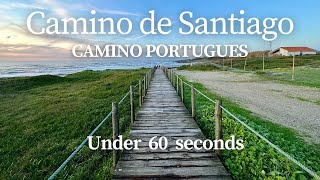 Secrets of Camino Portugues in 60 Seconds | Camino de Santiago