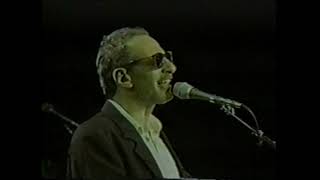 Steely Dan - Peg | Live at Nissan Pavilion at Stone Ridge | Manassas, VA | 1996