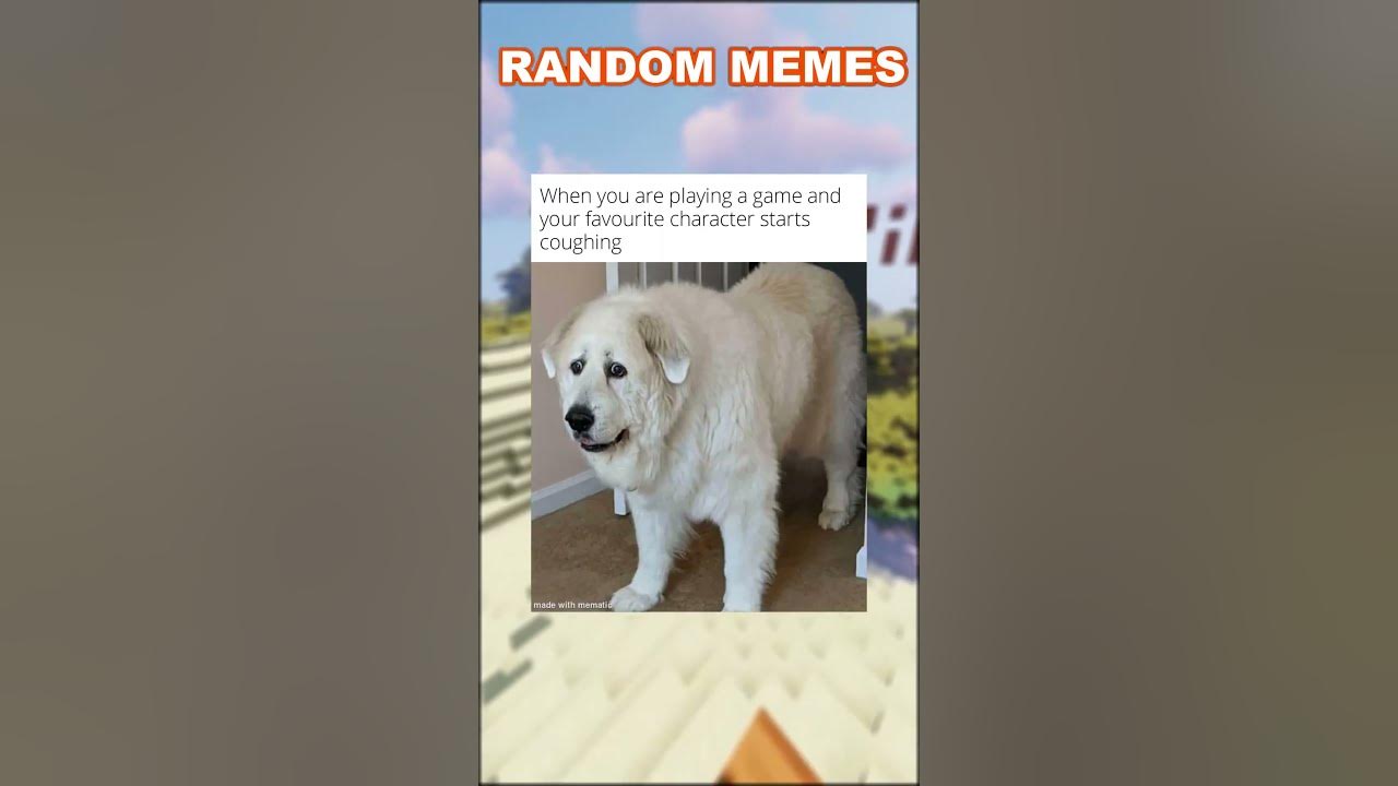 random memes 19 bbq squirrel YouTube