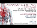 Aortic Stenosis (Steven Haddy, MD)