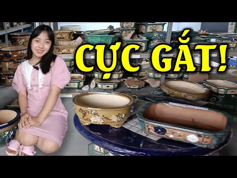 Video BAO SHIP TOÀN QUỐC - Chậu Mini Cây Cảnh Bonsai Đẹp Giá... - youtube