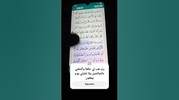سورة النساء الآية 101 سعد الغامدي