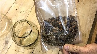 Кедровая настойка. Кедровая настойка.