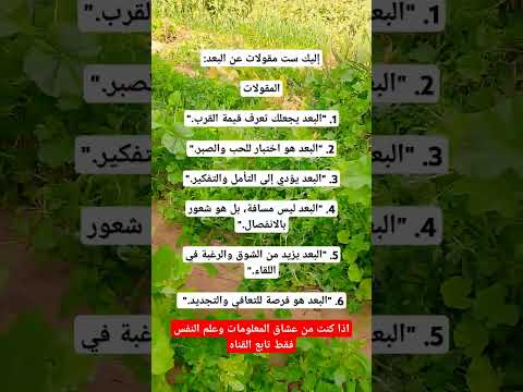 اليك ست مقولات عن البعد اقوال حكم اقتباسات استوريات اقتباسات جميله  علم النفس