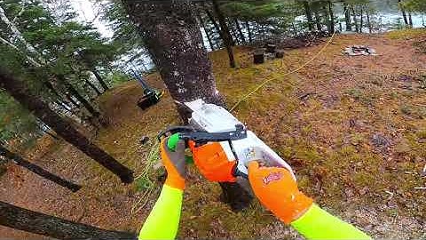 How To:  pull a tree over by yourself
