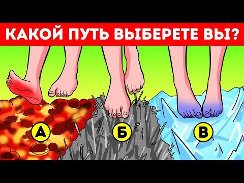 Какой путь вы выберете + десятки дерзких задачек