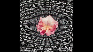 Get You Back (Official Audio) [Visualiser]