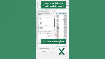 EXCEL TRUCCHI: 🖱 Personalizzare il riquadro campi tabella pivot #shorts