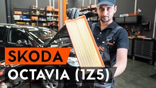 Hvordan erstatning Luftfilter SKODA OCTAVIA 2022 - bruksanvisning