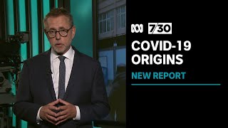 Is the mystery of the origin of COVID-19 closer to being solved | 7.30