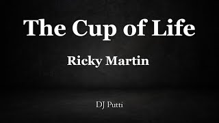 The Cup Of Life Instrumental - Ricky Martin