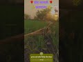 पीक कसे झगमग करायला लागले ,🌾🌾 जनू आकाशी सूर्य 🌞चंद्र🌕 तारे 🌾🐂 #farming #shorts #trending #dailyvlog