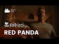 &#39;RED PANDA&#39; (2023) | Drama Short Film
