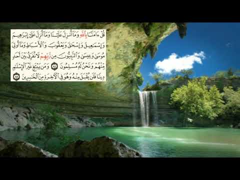 صفحة 61 Page سعد الغامدي سورة ال عمران Al Imran