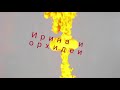 Хлорелла для орхидей