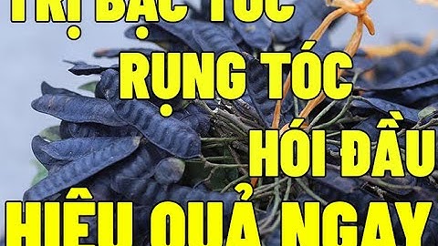 Tóc Thầy Bình Chuyên Trị Rụng Tóc Bạc Tóc Hói Đầu Cam Kết Hiệu Quả 100% sau 3 ngày sử dụng.