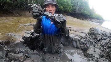 Quẹo Cần Giờ Tập Đặc Biệt 01: Những Con Tôm Tích Hệ Khủng Cuối Mùa