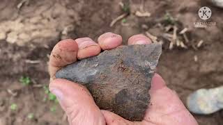 Did I find a spear tip or is it a Paleo piece