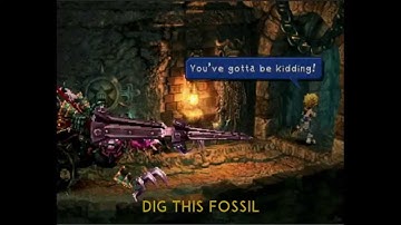 3-02 Dig This Fossil