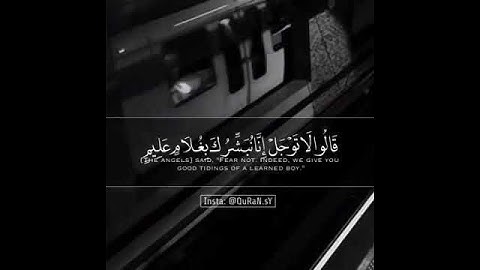 احلى حالات واتس اب دينية قصيرة اجمل حالة واتساب ايات من القرآن الكريم تلاوة رائعة خاشعة مبكية مؤثرة