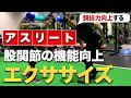 【アスリート】股関節周りを上手に使うためのエクササイズ〜立位編〜