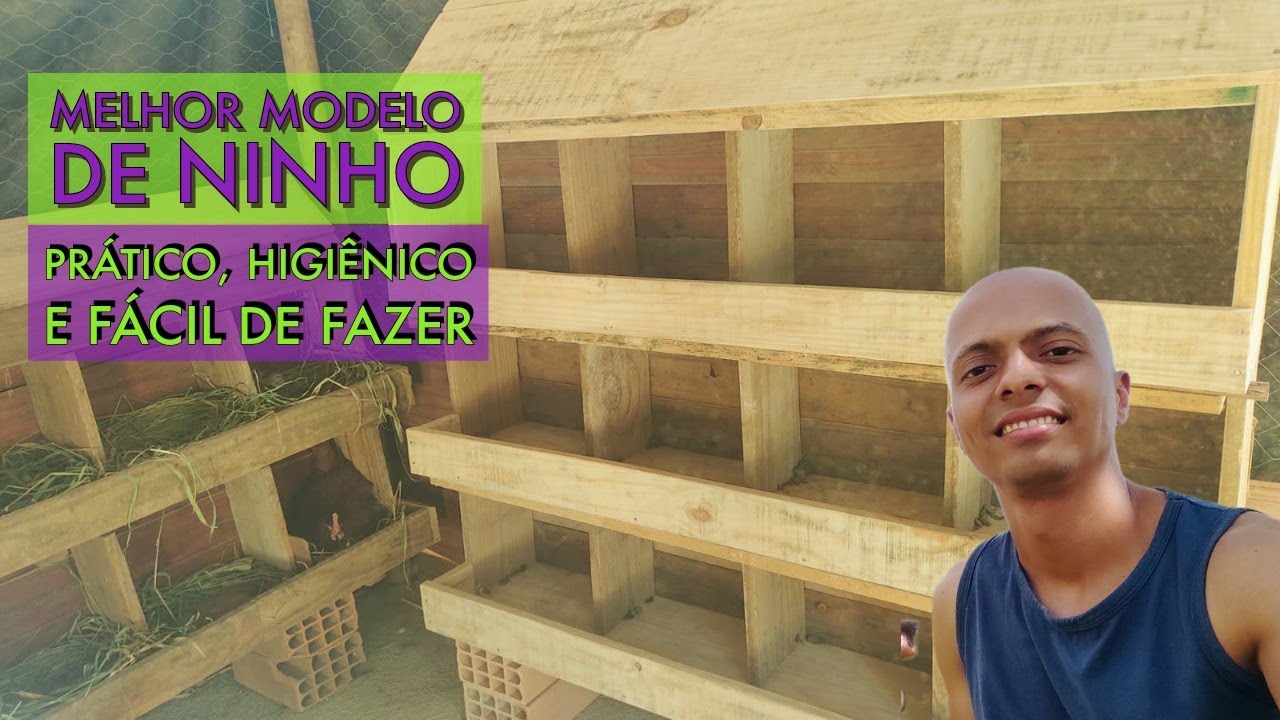 Como fazer ninhos para galinhas