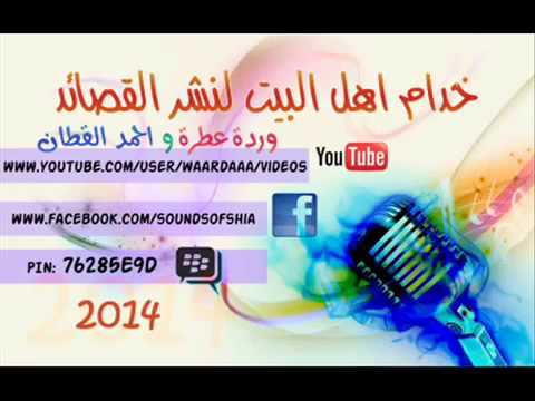 قصيدهـ Ll اه اه ياعلي Ll حيدر الزهيري