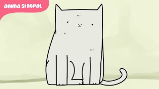 HADIAH ULTAH DARI CUTY UNTUK KUCING PELIHARAANNYA, CATY  | Kompilasi Animasinopal 4