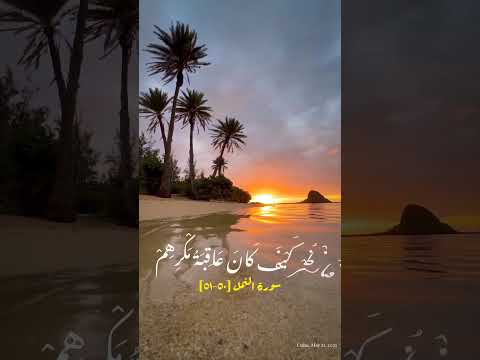 و م ك ر وا م ك ر ا و م ك ر ن ا م ك ر ا و ه م ل ا ي ش ع ر ون ٥٠ سورة النمل ٥٠ ٥١