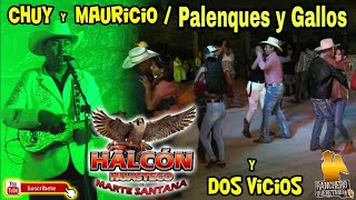 Trio Halcón Huasteco - Chuy y Mauricio Palenques y Gallos 🐓Dos Vicios 🐴