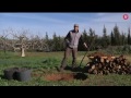 “Hugelkultur”: cómo utilizar los restos de poda