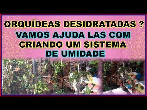 VAI VIRAR MANIA NACIONAL, VOU ENSINAR COMO FAZER O MELHOR SISTEMA DE UMIDADE PARA SUAS ORQUÍDEAS VAI VIRAR MANIA NACIONAL, VOU ENSINAR COMO FAZER O MELHOR SISTEMA DE UMIDADE PARA SUAS ORQUÍDEAS
