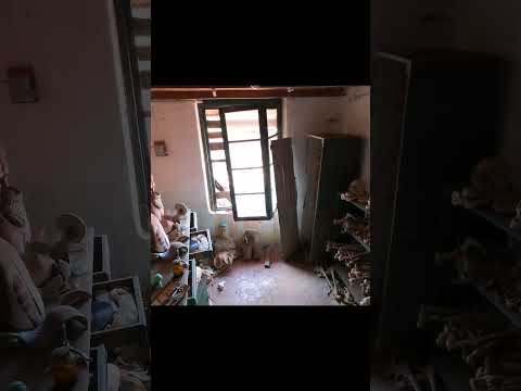 Затерянная больница в ГОА недалеко от штата Махараштра #new #shrots #индия #india